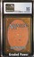 Sedge Troll CGC 9 (5182)