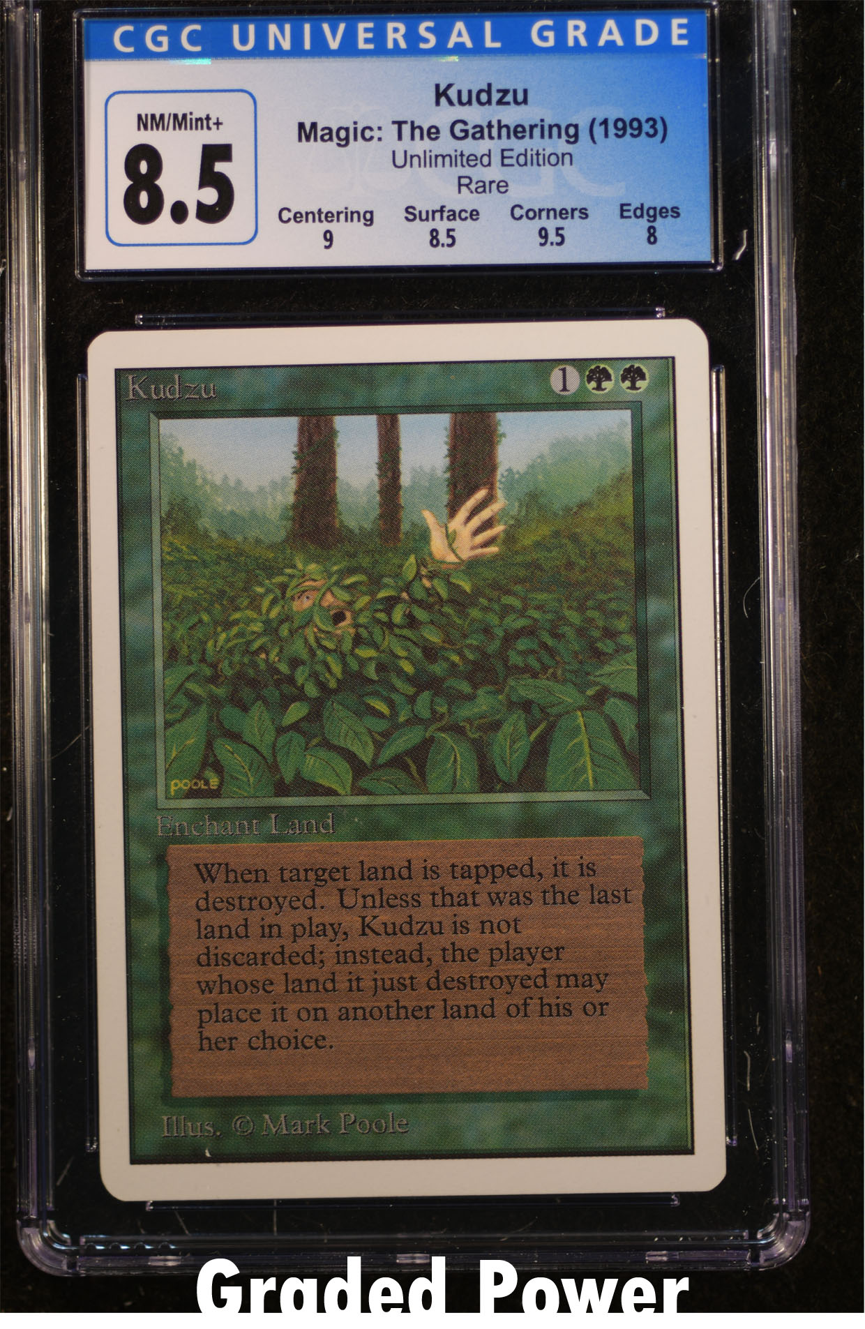 Kudzu CGC 8.5 (9099)