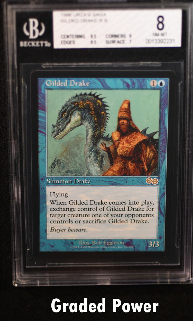 Gilded Drake BGS 8 (2231)