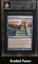 Ancestral Vision BGS 9 (2328)