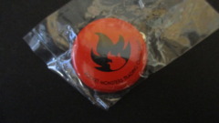 Fire Type Tin Badge Button