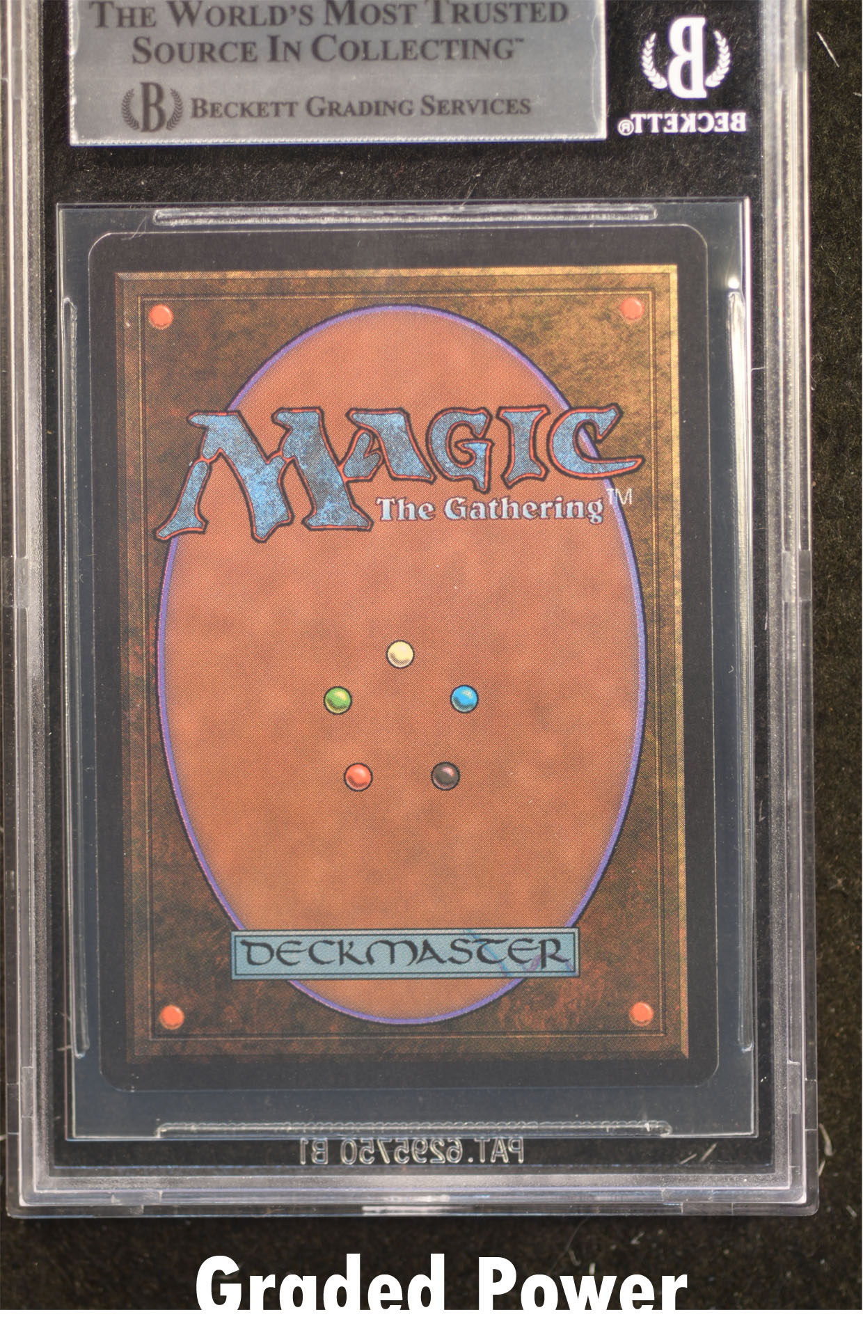 Swamp BGS 9 (2573)