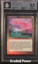 Memory Jar FOIL 8.5 (5518)