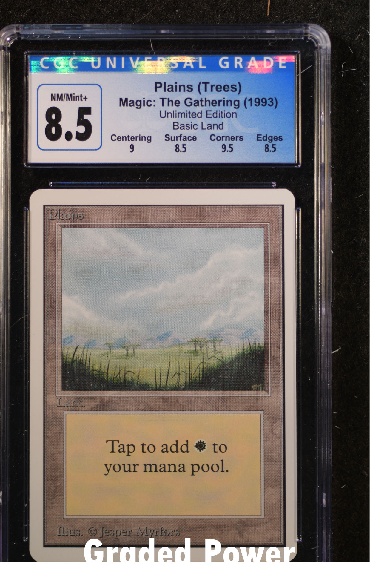 Plains (Trees) CGC 8.5 (9130)