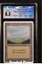 Plains (Trees) CGC 8.5 (9130)
