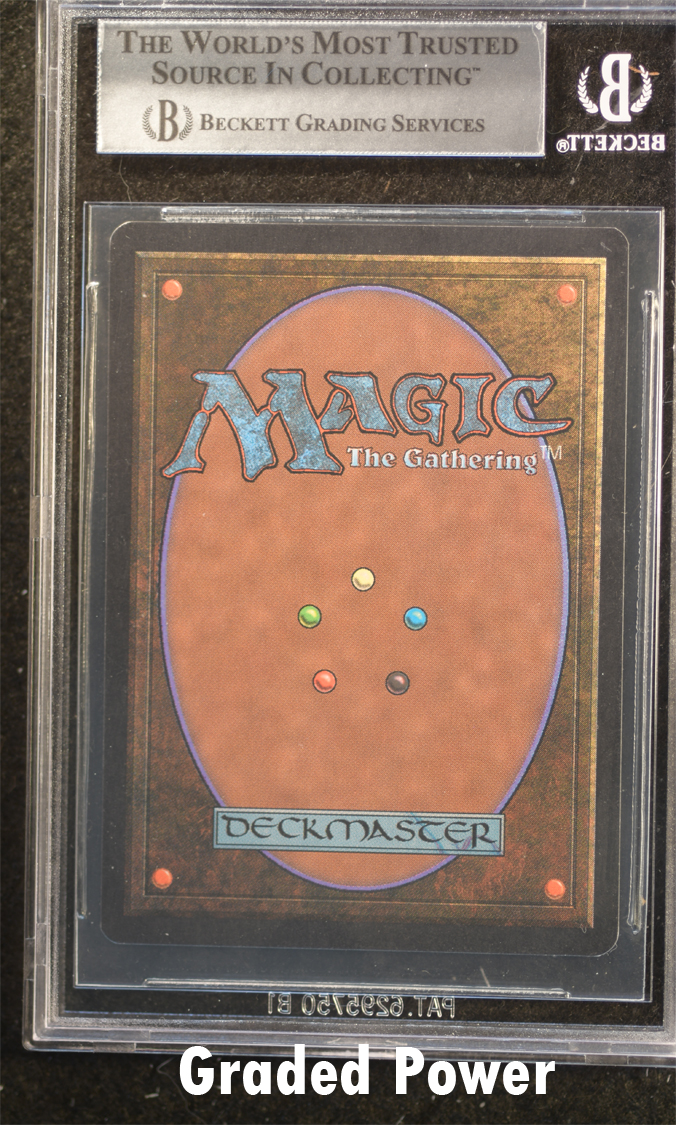 Flying Carpet   8.5  (8146)