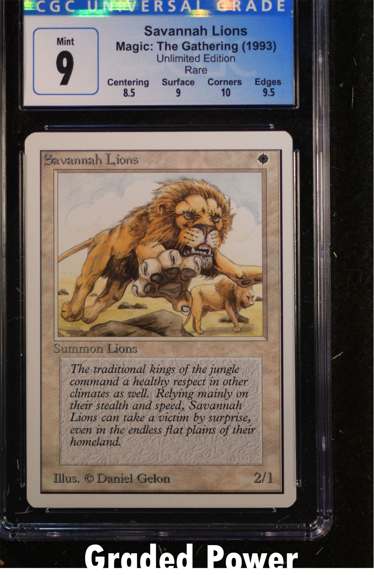 Savannah Lions CGC 9  (9147}