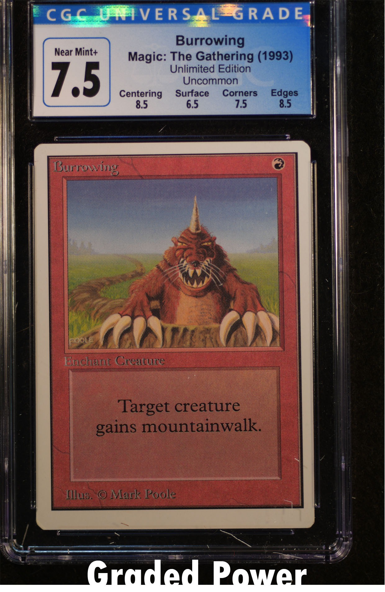 Burrowing CGC 7.5 (9017)