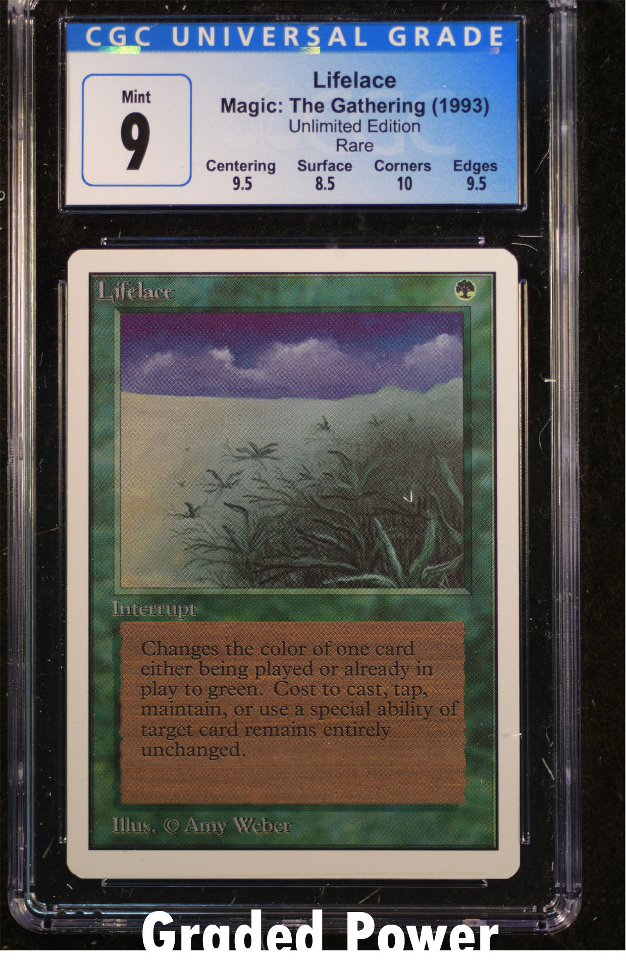 Lifelace CGC 9 (9102)
