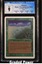 Lifelace CGC 9 (9102)