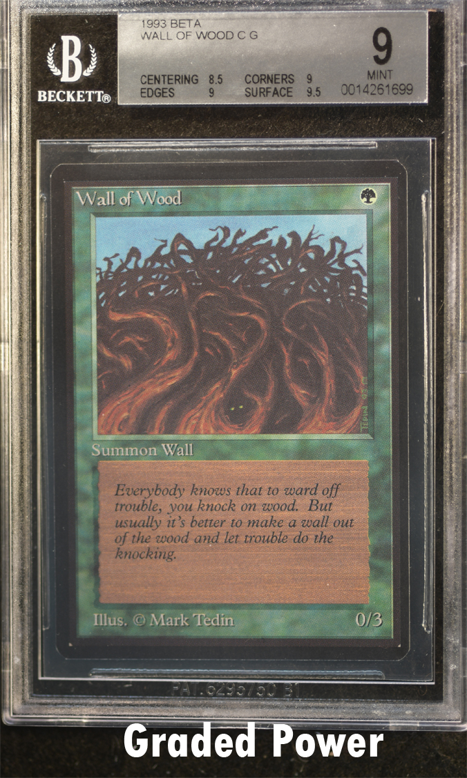 Wall of Wood  9  (1699)