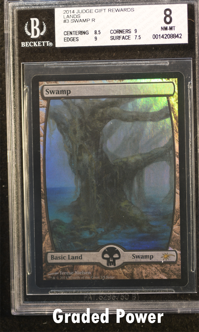 Judge Reward Swamp  8  (8842)