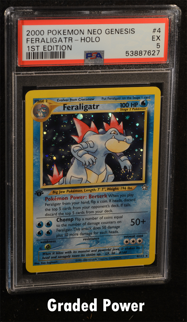 Pokemon deals Feraligatr 5