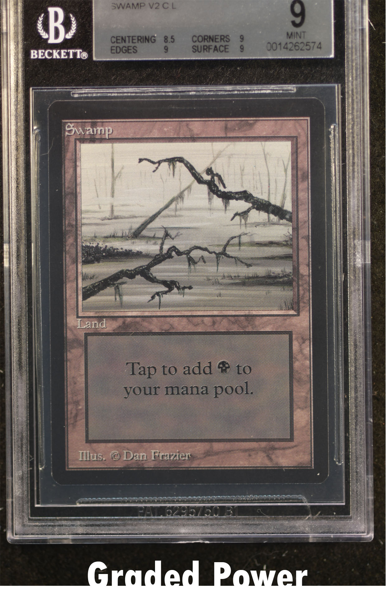 Swamp BGS 9 (2574)