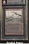 Swamp BGS 9 (2574)