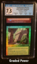 Timberland Ruins CGC 7.5 SPANISH