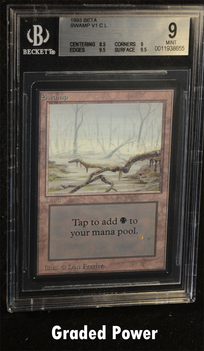 Swamp v1  9