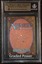 Animate Wall BGS 9.5 (8684)