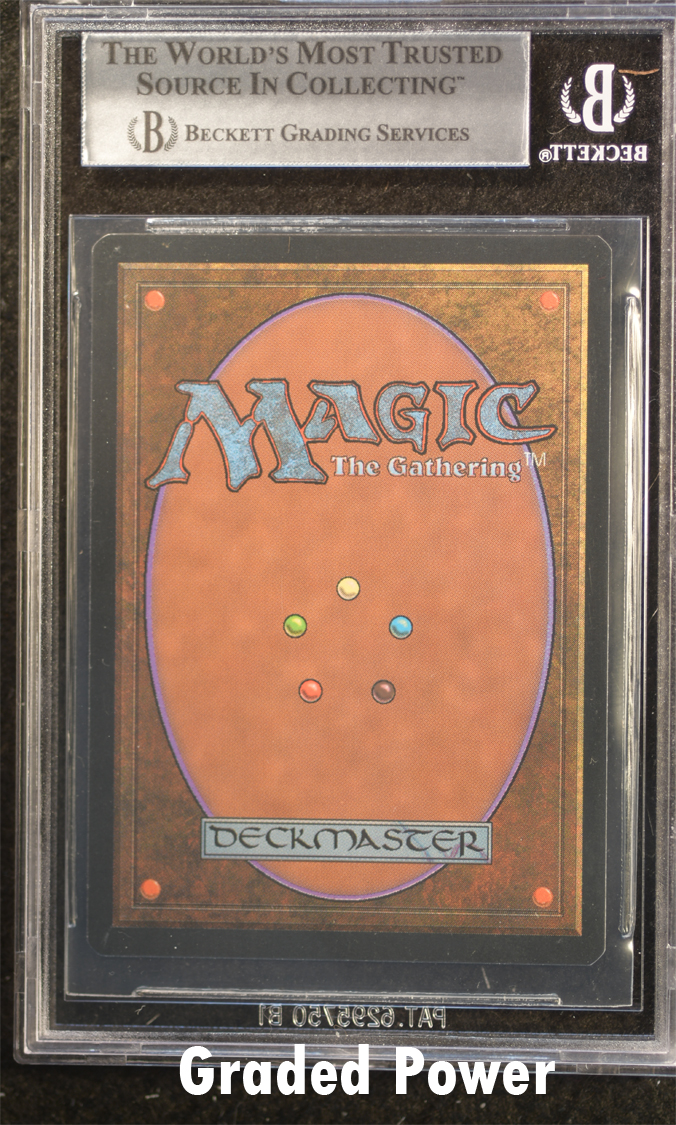 Enlightened Tutor  8.5  (8774)