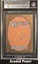 Worldly Tutor  9  (9037)