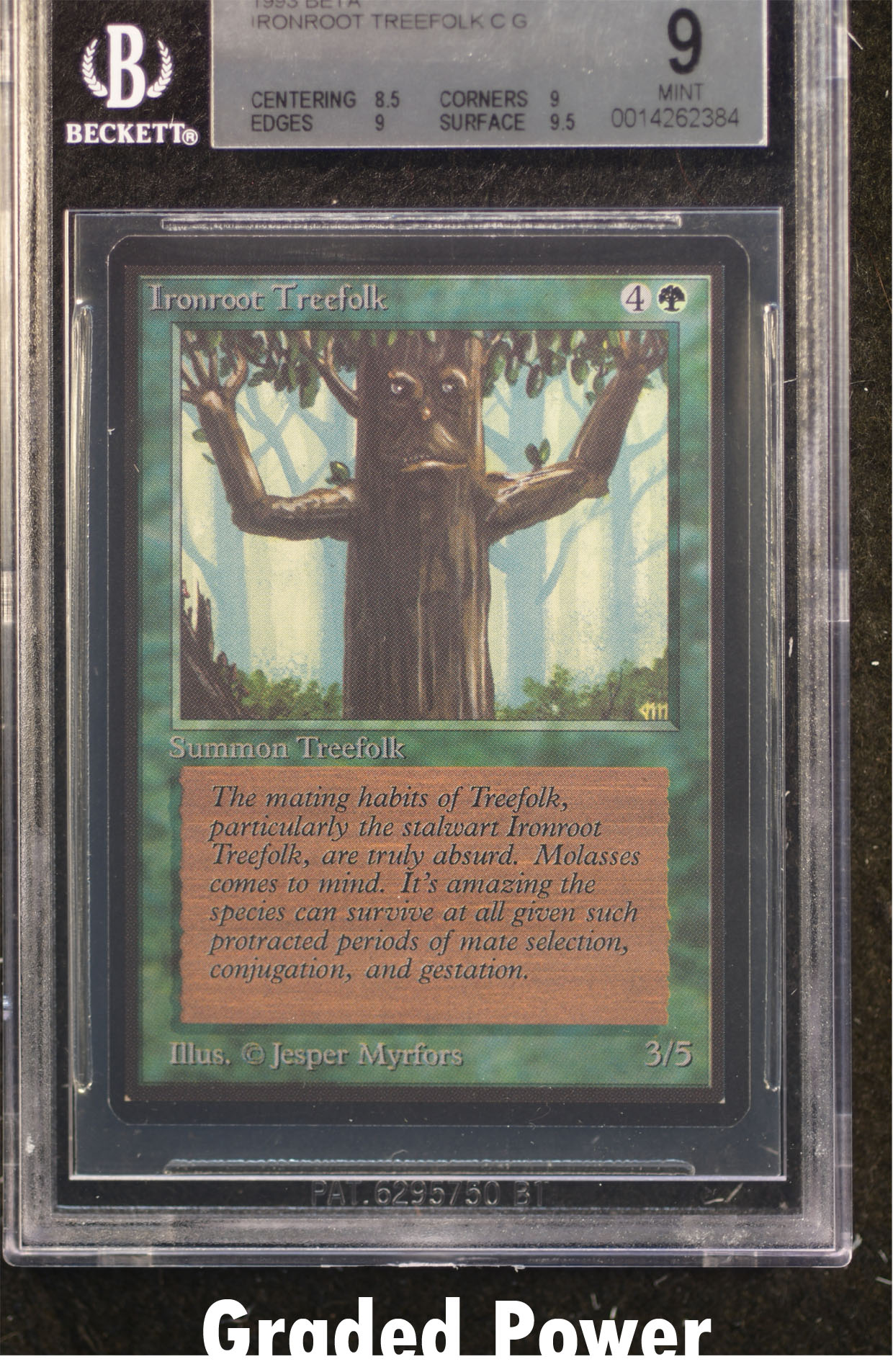 Ironroot Treefolk BGS 9 (2384)