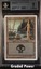 Swamp BGS 9