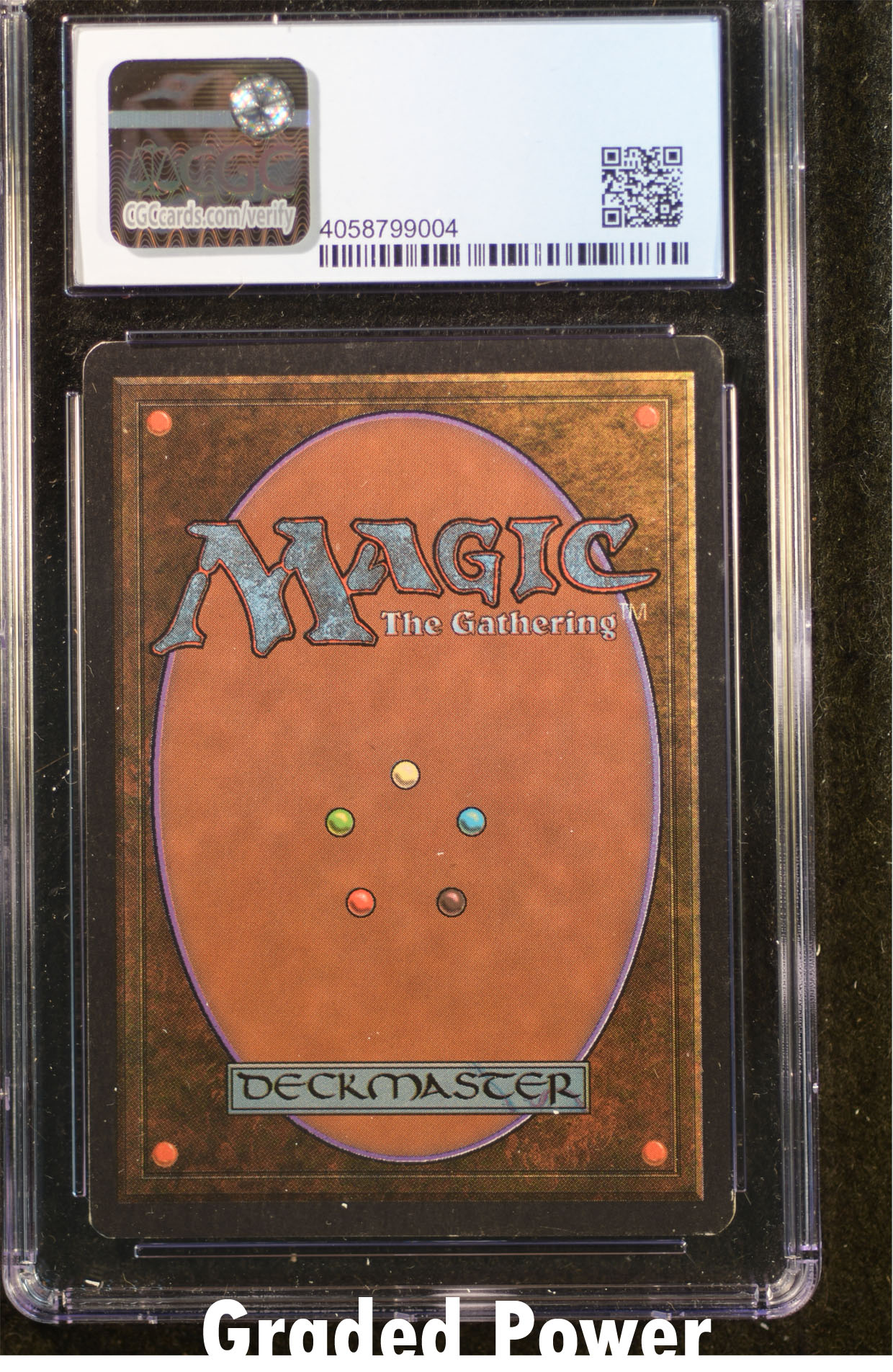 Aspect of Wolf CGC 8 (9004)