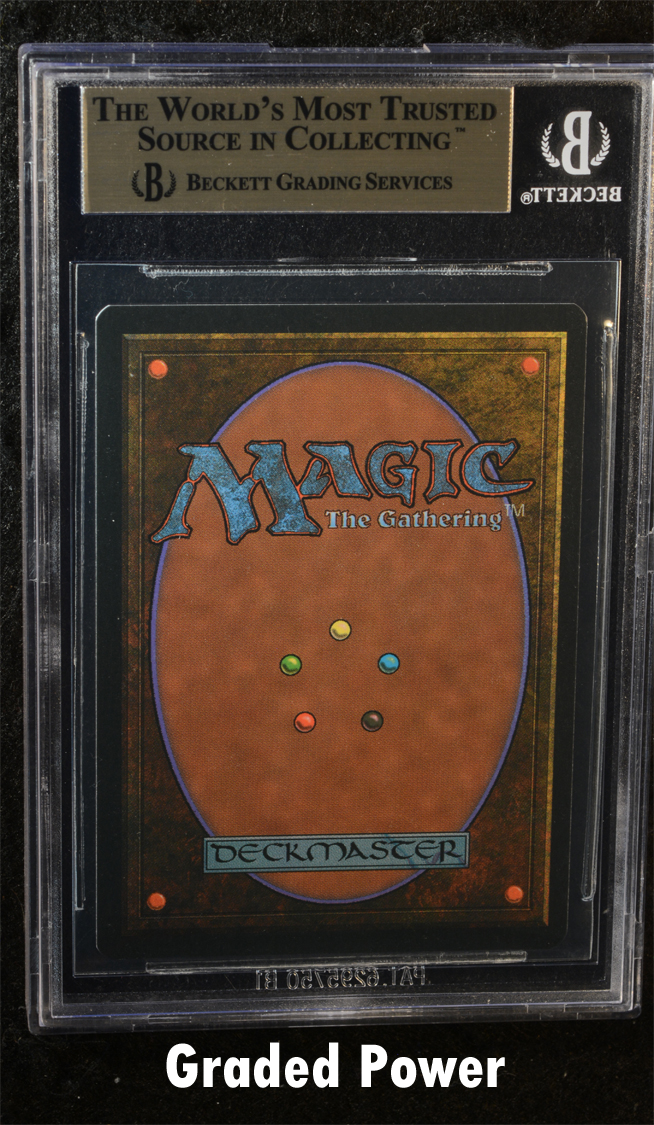 Lands Edge  9.5  (2590)