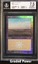 Plains Foil  7.5  (1818)