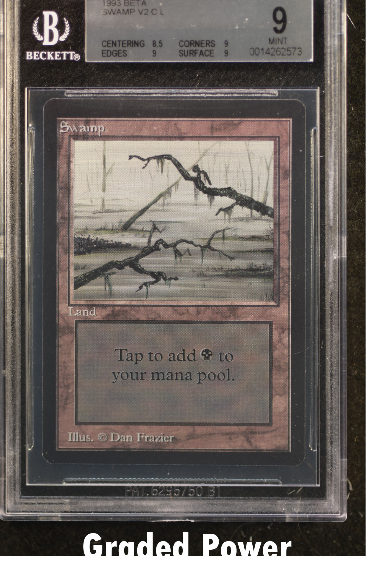 Swamp BGS 9 (2573)
