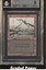 Swamp BGS 9 (2573)