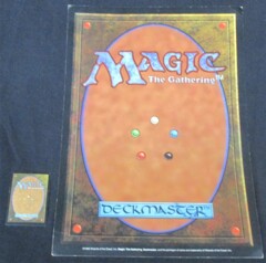 MTG Magic Back 12 x 18 Poster