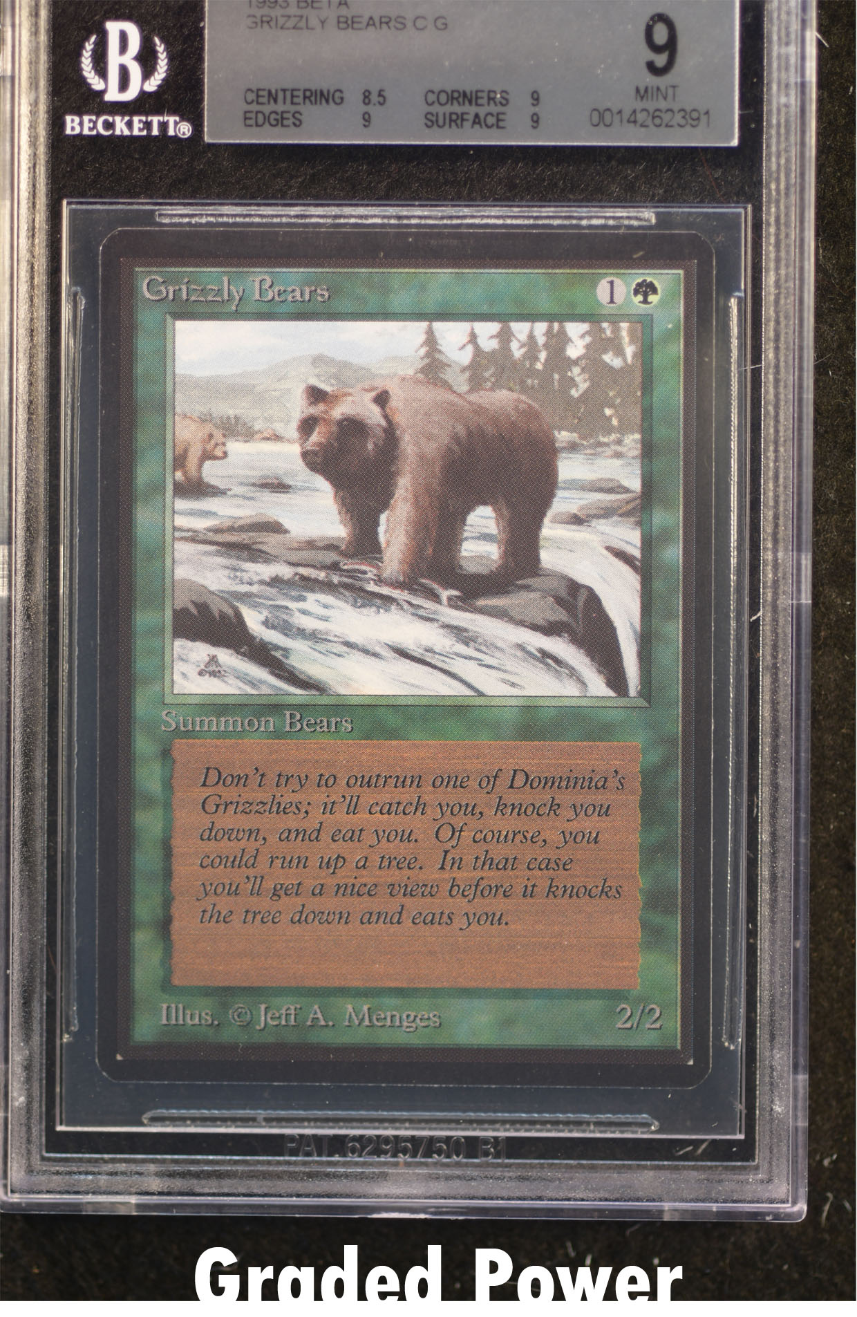 Grizzly Bears BGS 9 (2391)