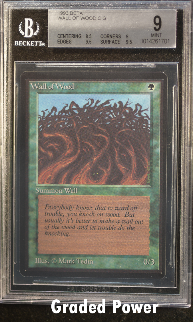 Wall of Wood  9  (1701)