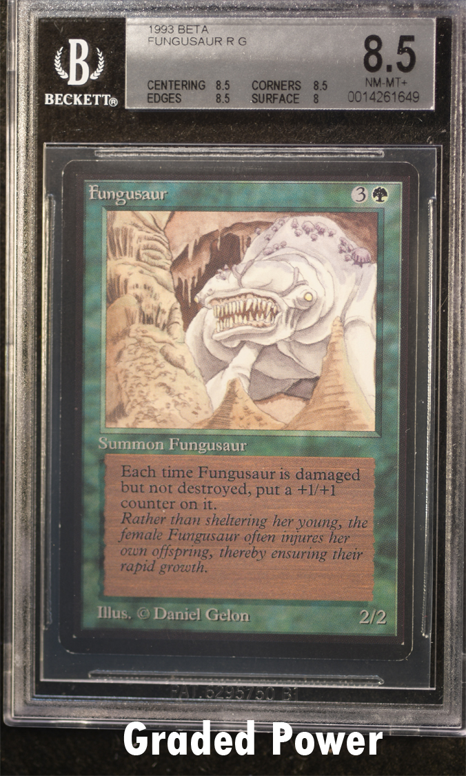 Fungusaur  8.5  (1649)