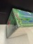 Jungle 1st Edition
