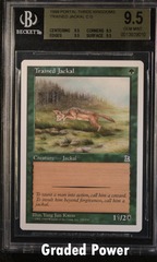 Trained Jackal BGS 9.5 QUAD
