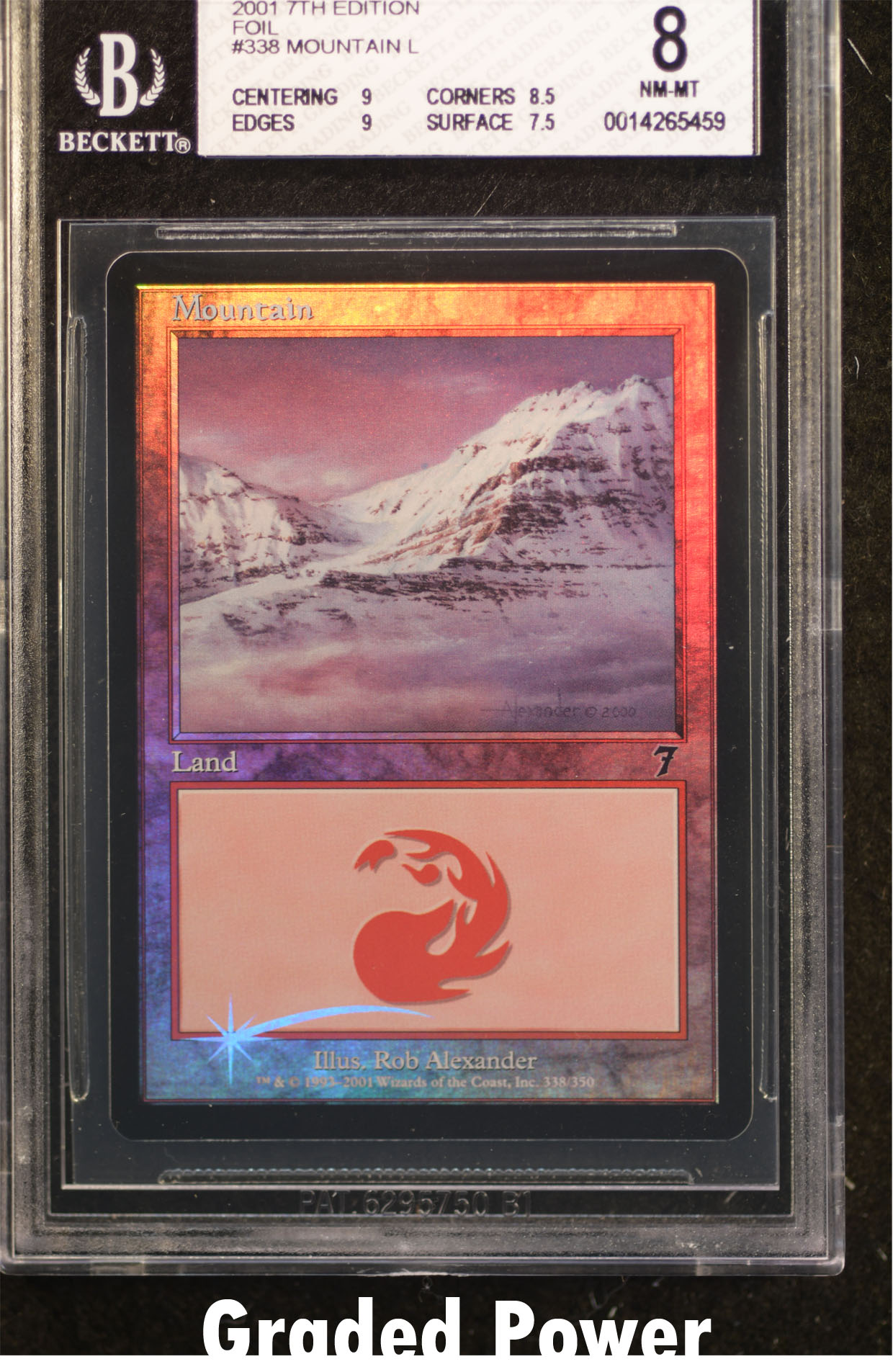 Mountain BGS 8 (5459)