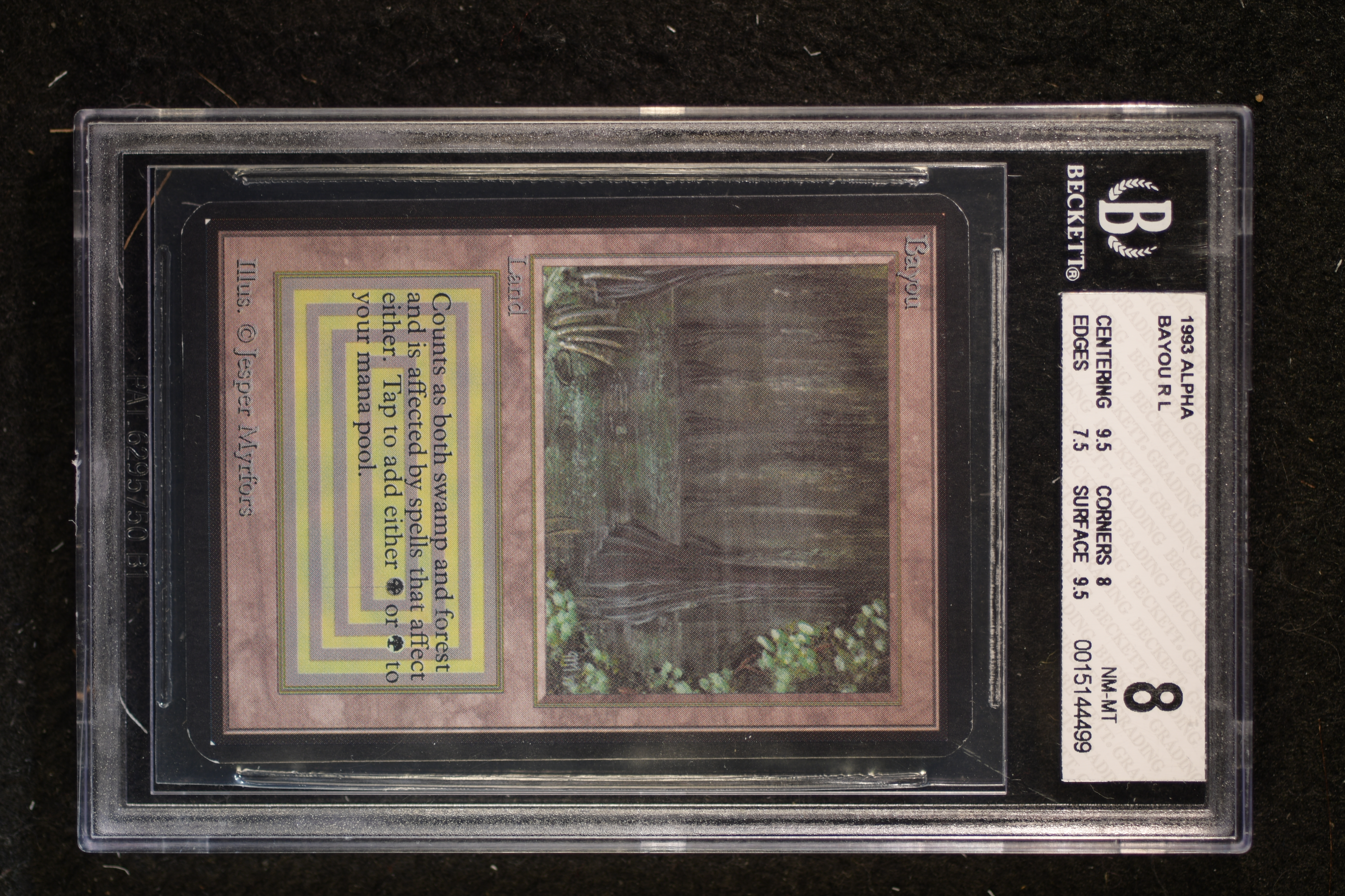 Bayou BGS 8 (GAD-4499)