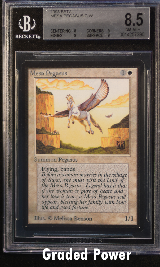 Mesa Pegasus  8.5  (7390)
