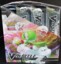 V Battle Deck Box Victini V & Gardevoir V SEALED