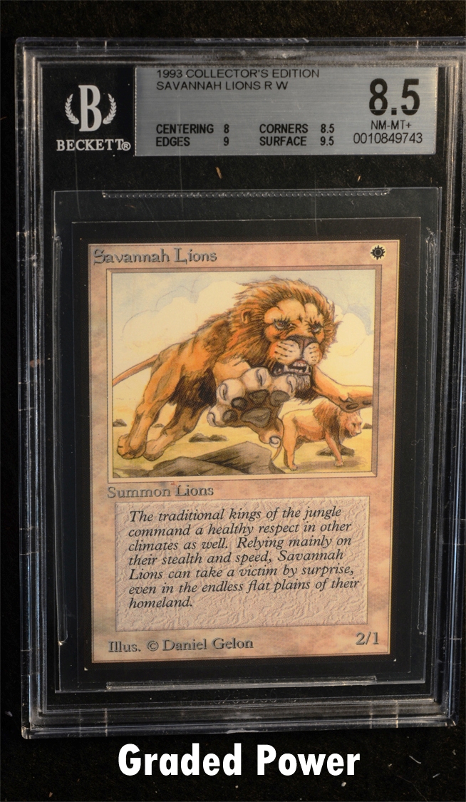 Savannah Lions  8.5  (9743)