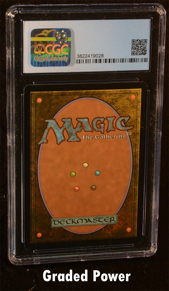 Selkie Hedge-Mage CGC 8.5 Foil (9028) SPANISH