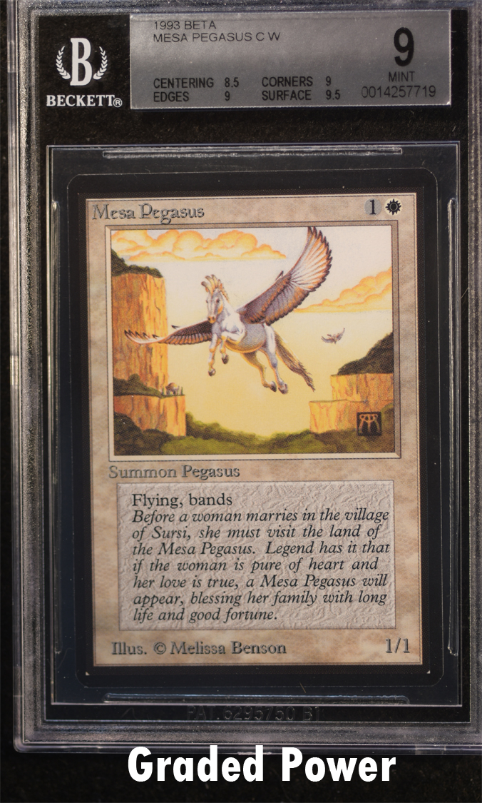 Mesa Pegasus  9  (7719)