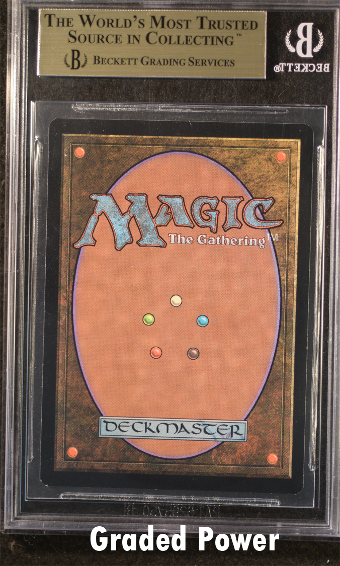 Zodiac Rat BGS 9.5