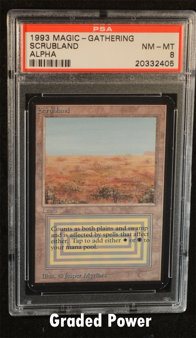 Scrubland PSA 8