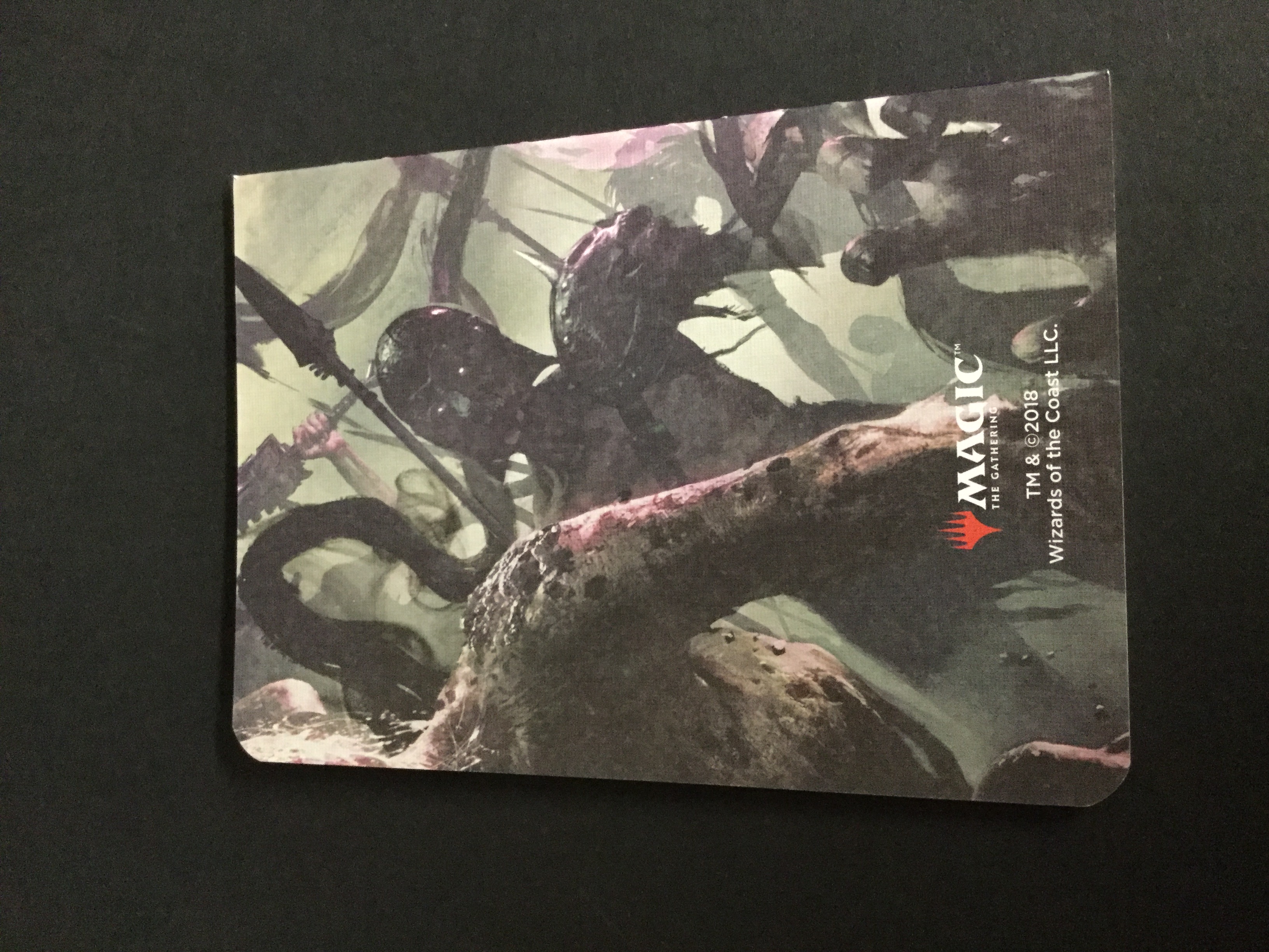 Liliana Pocket Journal (1) NEW