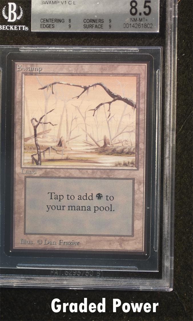 Swamp BGS 8.5