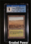 Savannah CGC 8