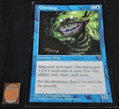 Visions Chronatog 12 x 18 Poster